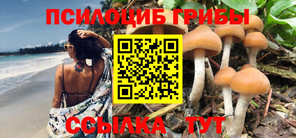 Галлюциногенные грибы MAGIC MUSHROOMS  как найти наркотики  Чехов  Галлюциногенные грибы Psilocybe  Вход с VPN 